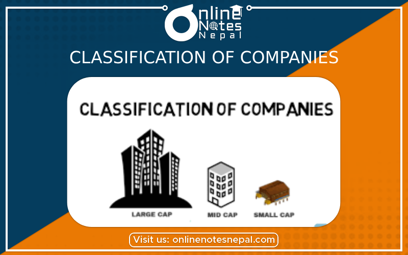 Classification of Companies